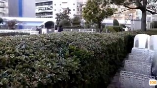 日本少妇丰满一级a片_刚刚更新18禁成人视频